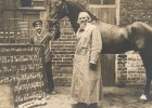 Как «психический» конь по кличке Clever Hans изменил научный метод Как «психический» конь по кличке Clever Hans изменил научный метод