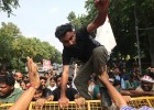 «Тараканье движение» в Индии: может ли новый протест повернуть вспять демократический спад?