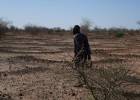 Нигерия может понести самые большие в мире потери от жары, связанной с супер-Эль-Ниньо: что способно спасти жизни