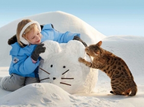 За что дети любят зиму
