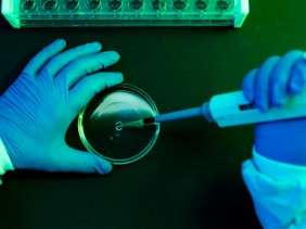 Каждый восьмой случай рака в мире, вероятно, связан с инфекцией — новое исследование