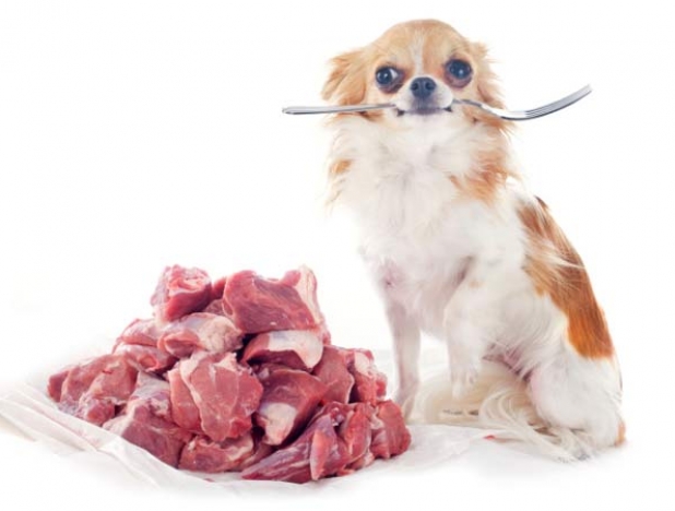 Какой бы вид питания собаки вы ни предпочли, нужно будет придерживаться только его