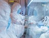 Смерть российского исследователя чумы: что известно и насколько это опасно