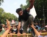 «Тараканье движение» в Индии: может ли новый протест повернуть вспять демократический спад?