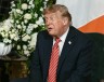 Трамп поддержал идею объединения Ирландии, нарушив давнюю традицию США